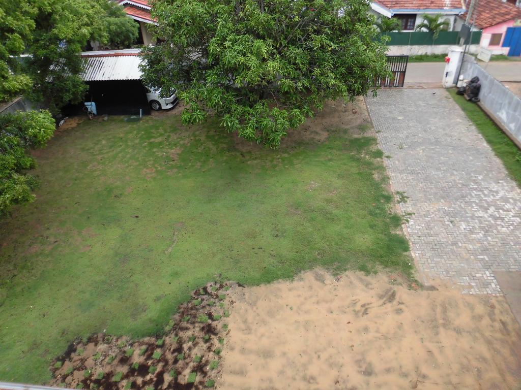 Pick & Go White House Bed & Breakfast Negombo Exterior foto